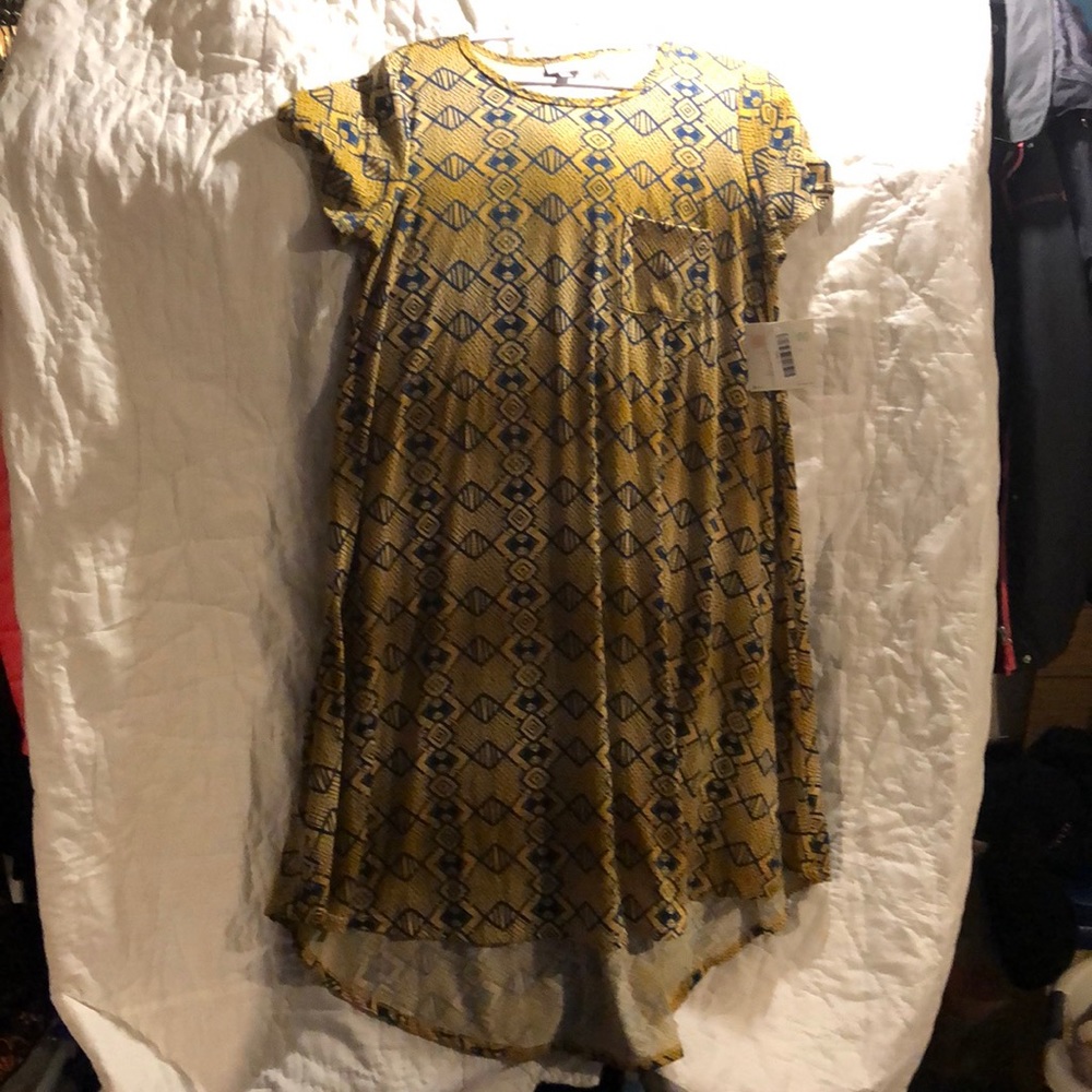 Lularoe Carly Large
